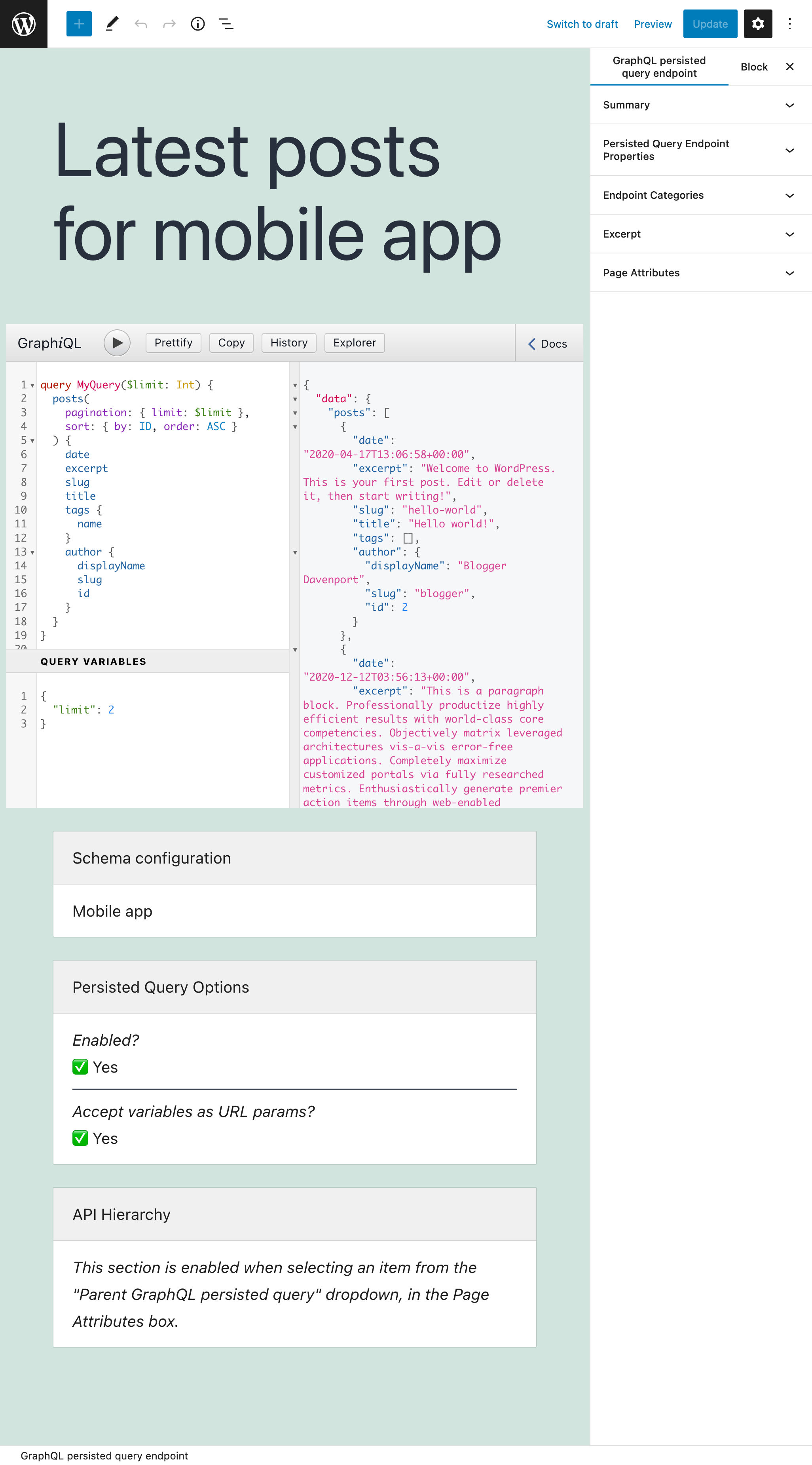 Persisted query in de editor