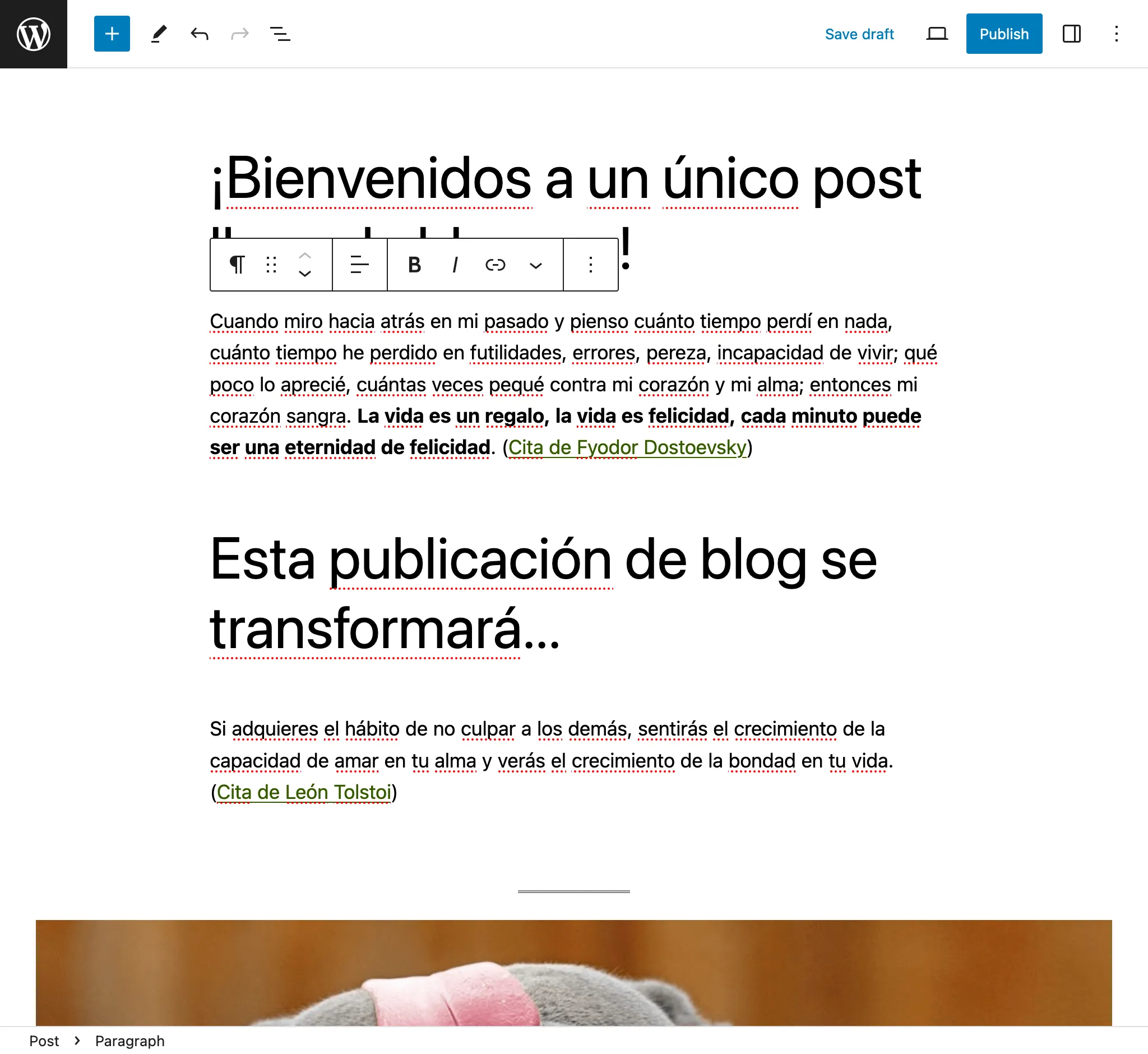 Vertaling corrigeren in de WordPress-editor